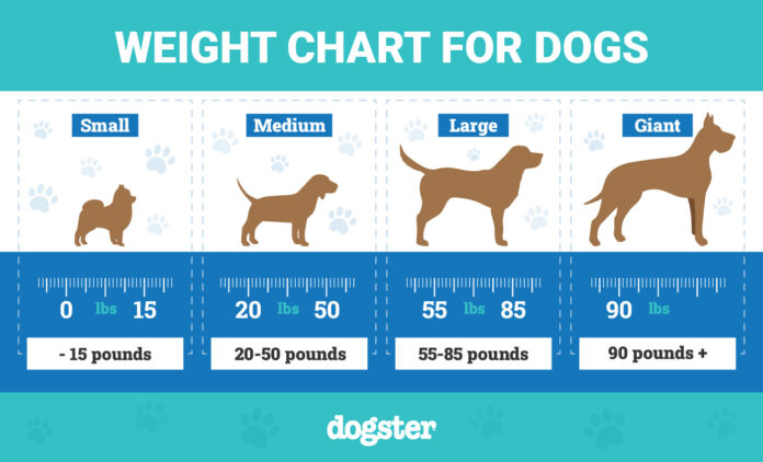 How Much Should My Dog Weight