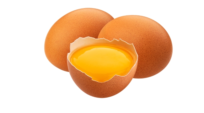 Nutritional Content of Eggs for Dogs