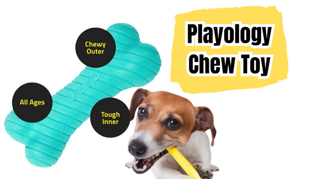 Playology Chew Toy