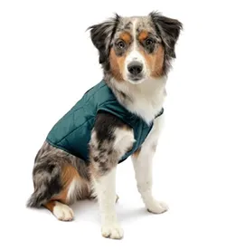 Kurgo Loft Reversible Insulated Dog Quilted Coat