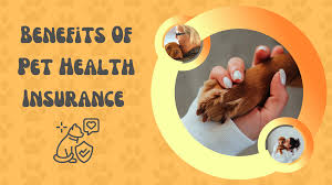 The Pros and Cons of Pet Insurance