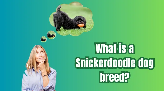 snickerdoodle dog
