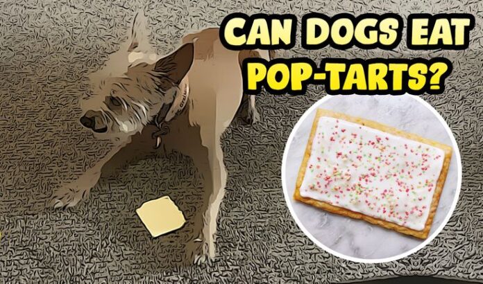 pop tarts