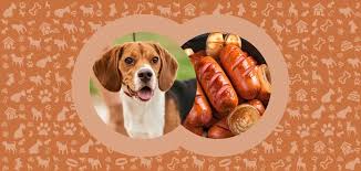 Can Dogs Eat Bratwurst? 