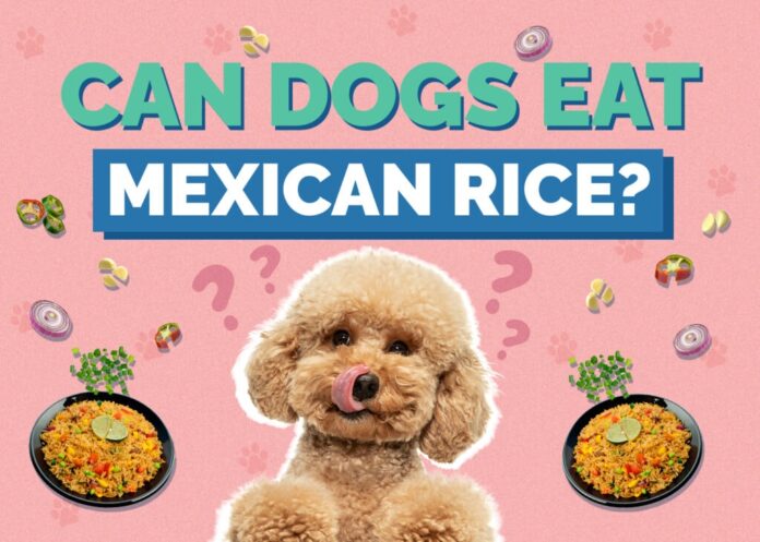 Can Dogs Eat Mexican Rice?